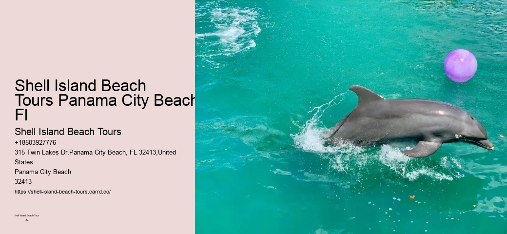 Dolphin And Snorkeling Day Trips From Split