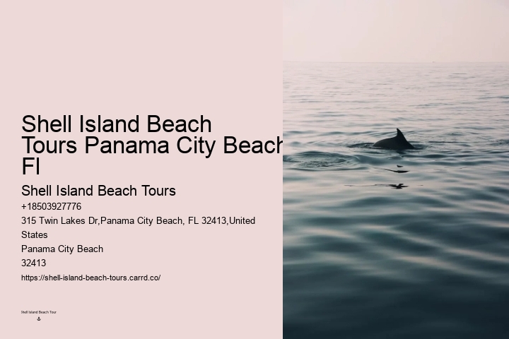 Split Boat Trips For Dolphin Watching And Snorkeling