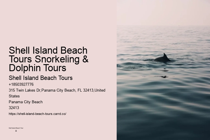 Personal Dolphin Encounter with Snorkeling