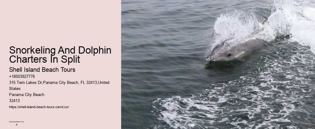Are Dolphins Naturally Friendly Toward Humans If So