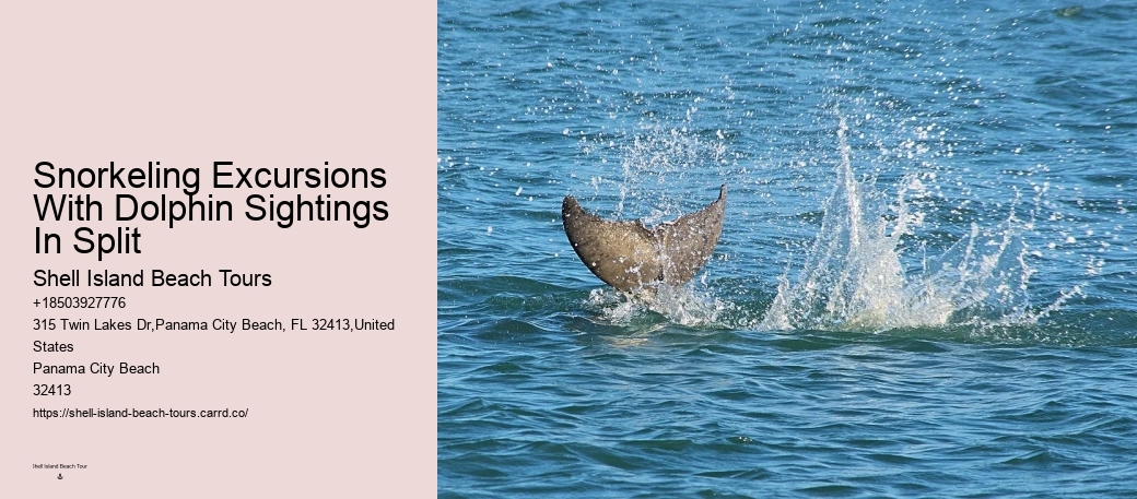 Best Place To See Dolphins In Florida