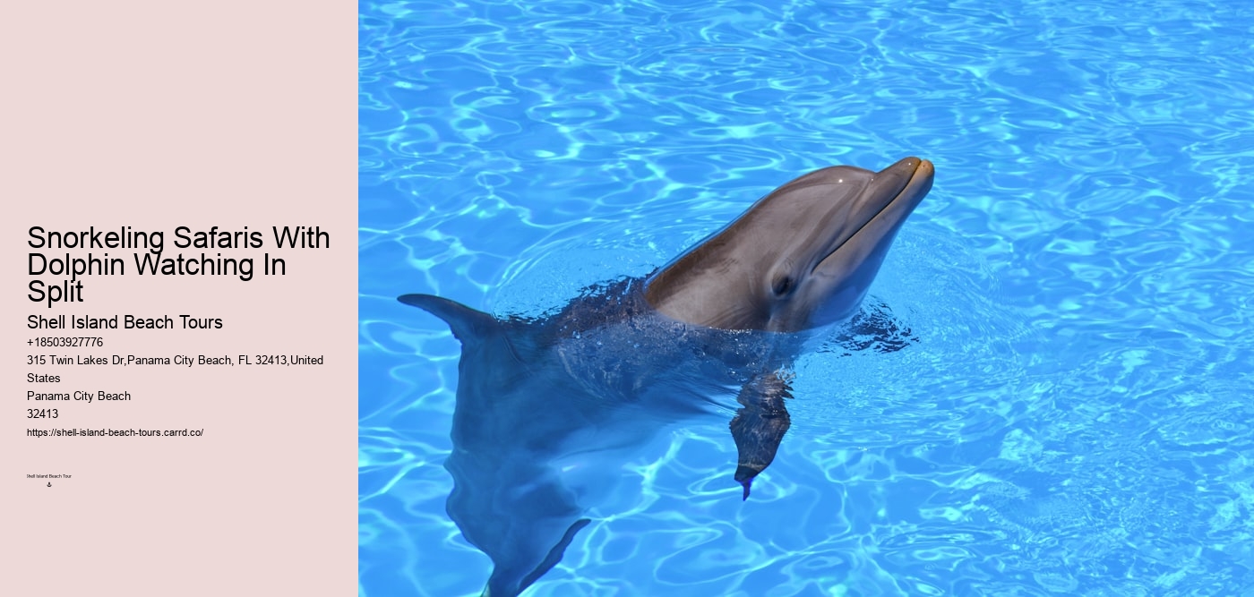 Snorkeling Safaris With Dolphin Watching In Split