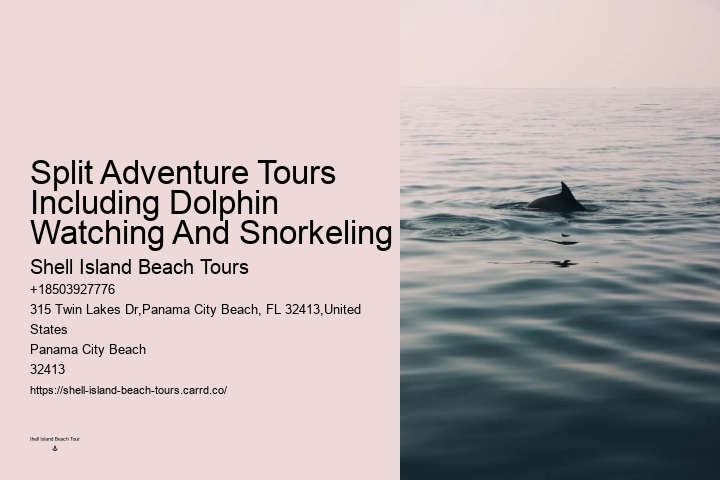 Dolphins Like To Play!