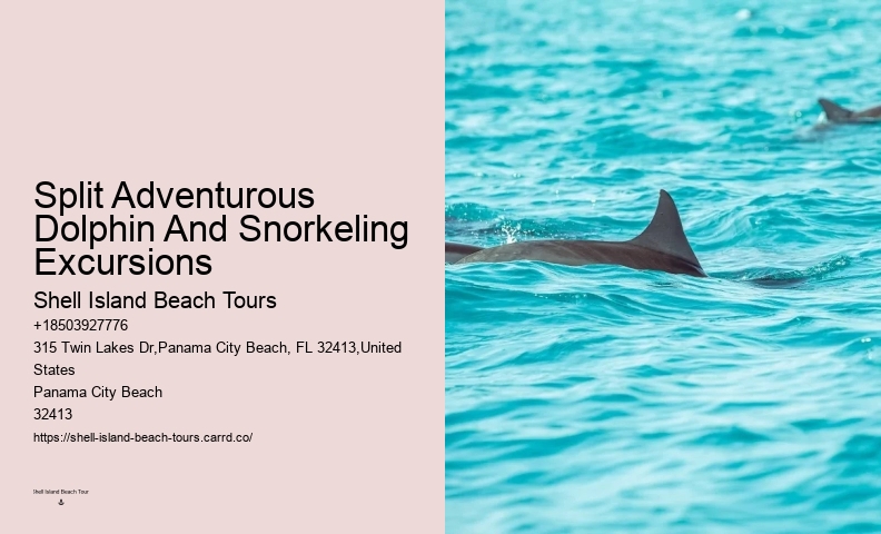 Do Dolphins Use Scent