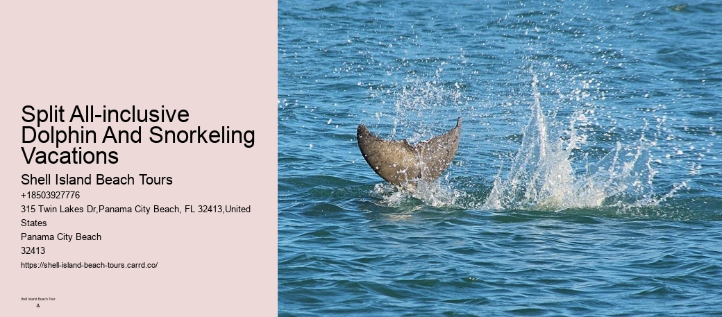Do Dolphins Like To Play With Humans