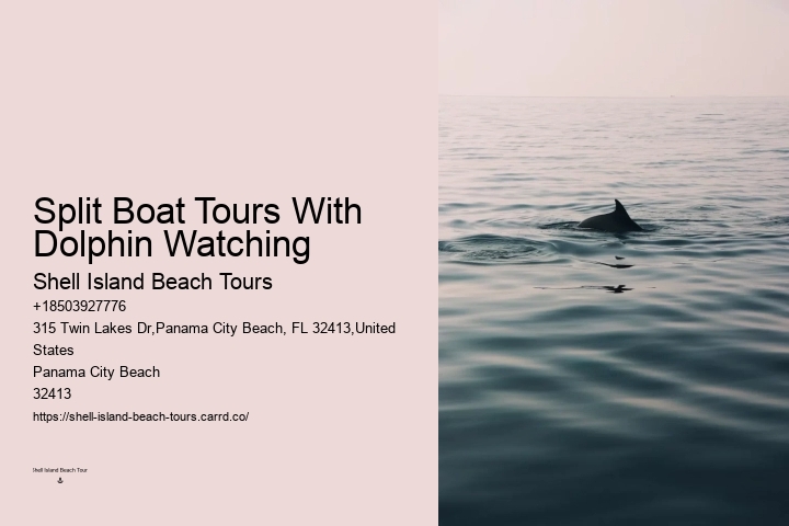 Swim-with-the-dolphins Attractions