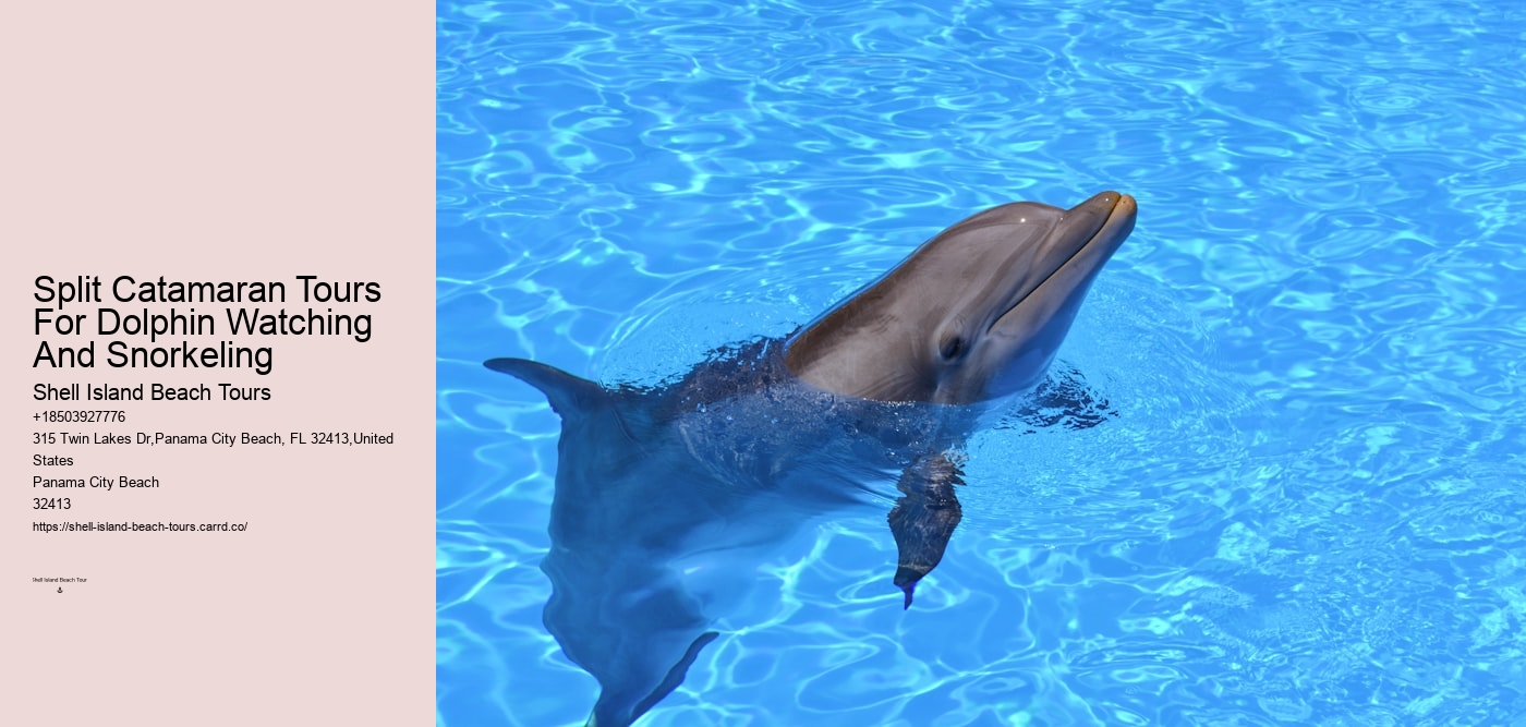 Split Catamaran Tours For Dolphin Watching And Snorkeling