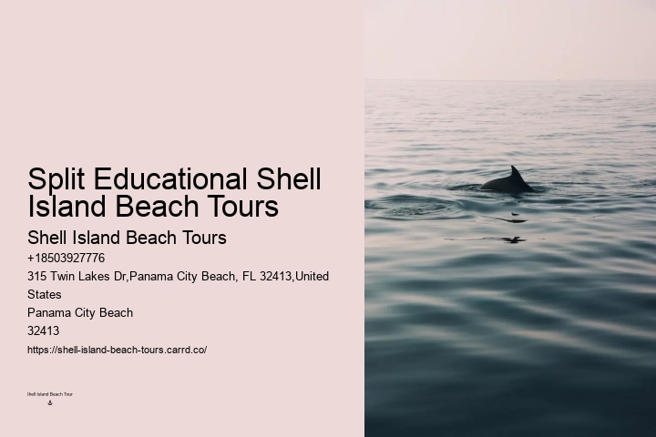 Exclusive Dolphin Exploration with Snorkeling
