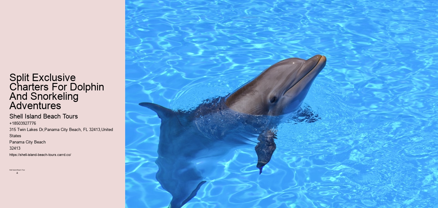 Split Exclusive Charters For Dolphin And Snorkeling Adventures