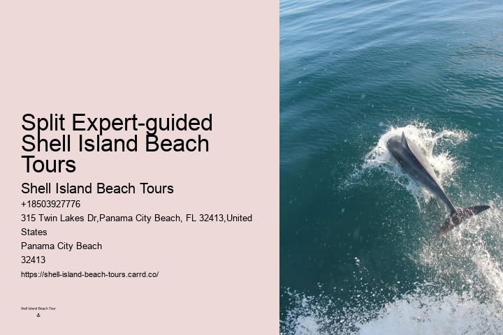 Panama City Fl Boat Tours