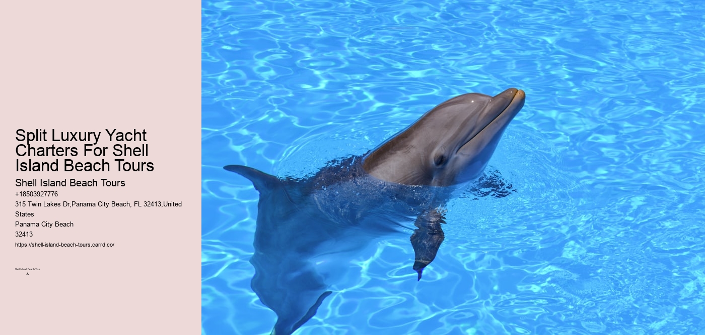 Split Luxury Yacht Charters For Shell Island Beach Tours