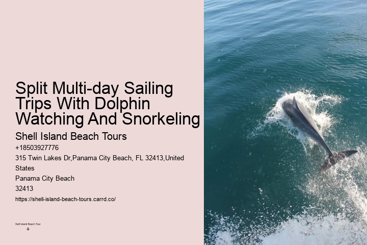 Panama City Beach Dolphin Adventure Trips