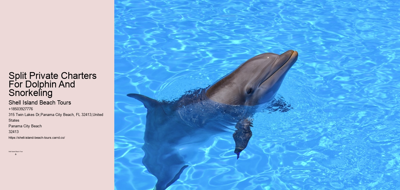 Split Private Charters For Dolphin And Snorkeling