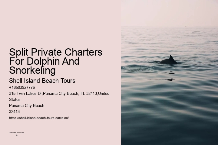Panama City Beach dolphin sightseeing cruises