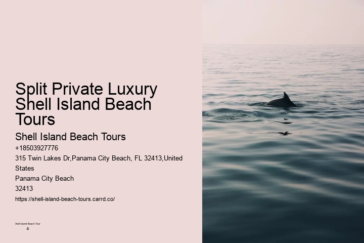 Cheap Dolphin Tours In Panama City Beach