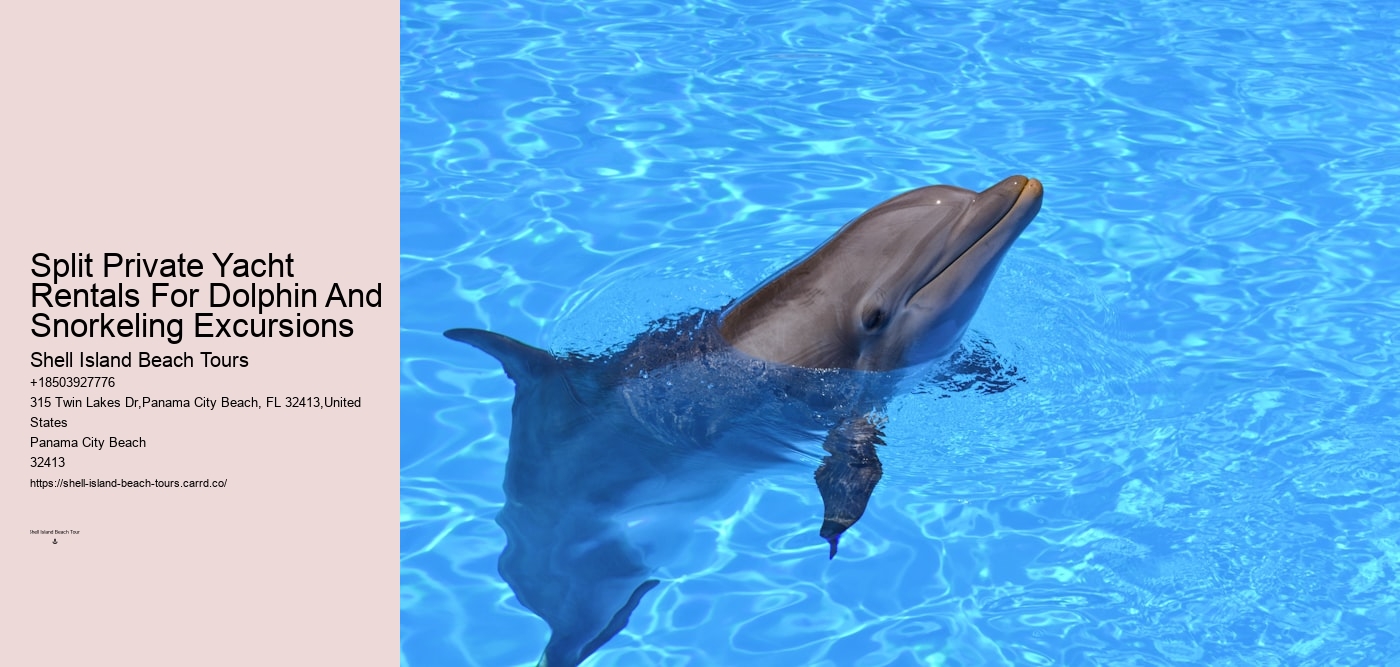 Split Private Yacht Rentals For Dolphin And Snorkeling Excursions