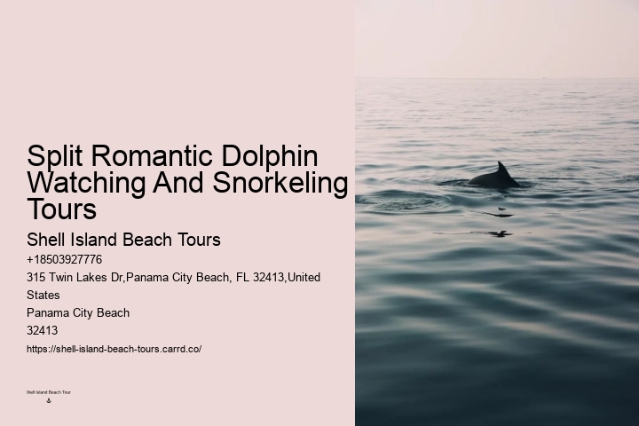 Dolphin discovery voyages in Panama City Beach