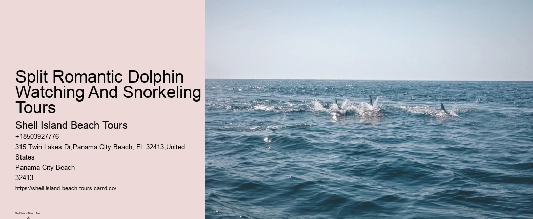Where Is The Best Place To Swim With Dolphins