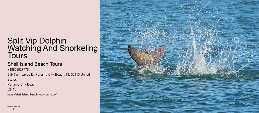 Dolphin Split