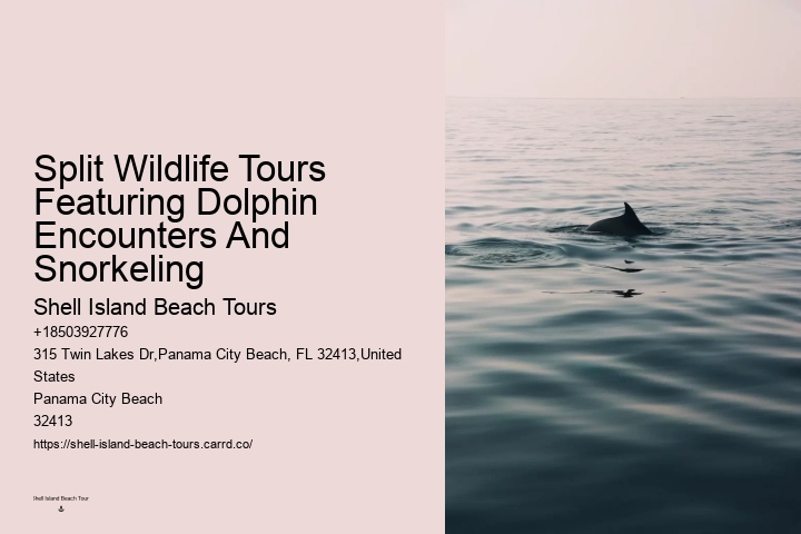 Papa Joe's Dolphin Cruise