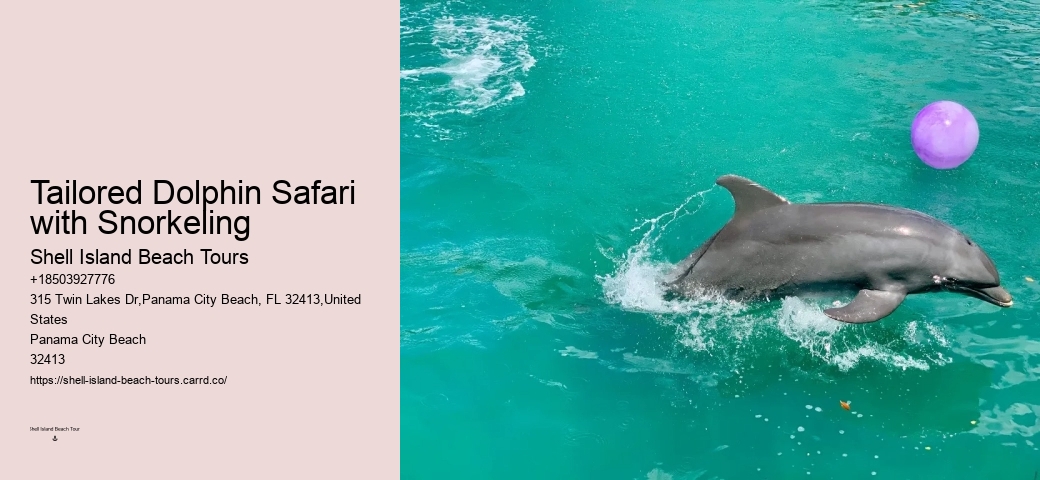 Are there evening sunset dolphin tours available in Panama City Beach