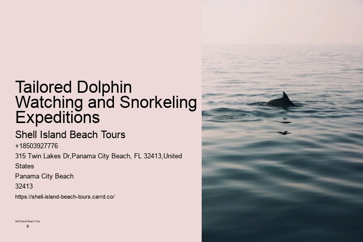 Panama City Beach dolphin discovery cruises