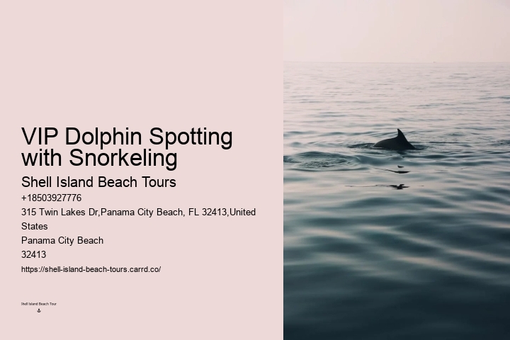 Split Vip Snorkeling And Dolphin Tours