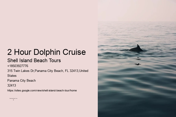 Salty Mary Dolphin And Snorkel Tours