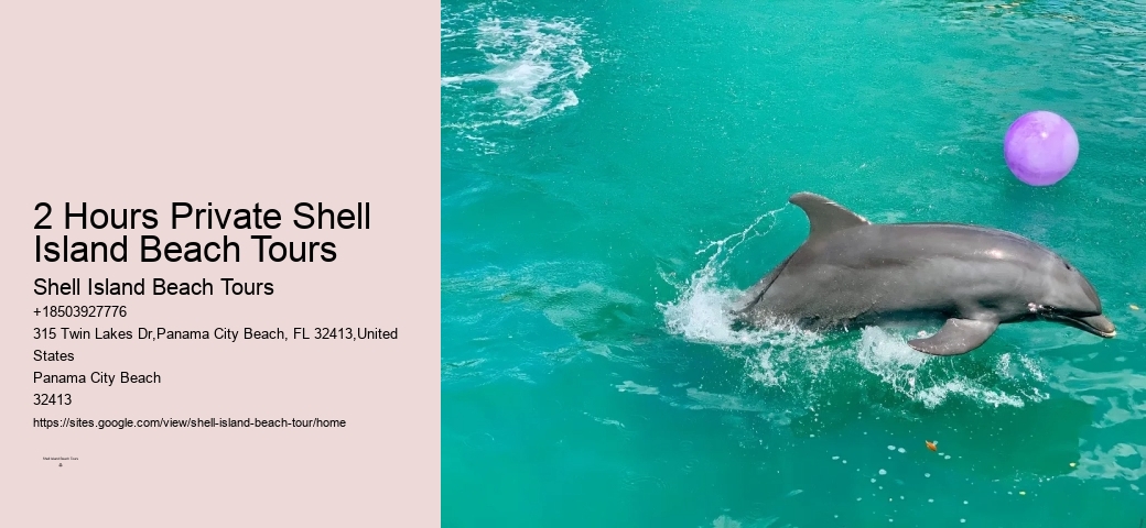 Snorkeling and Dolphin Tour