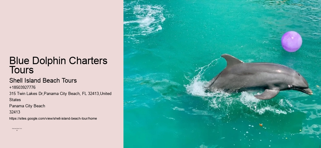 Split Luxury Snorkeling And Dolphin Experiences