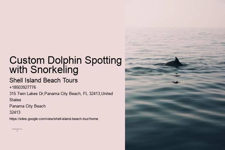 Dolphin Charter Near Me