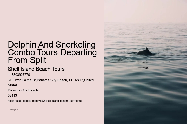 How many dolphins typically appear during a tour in Panama City Beach
