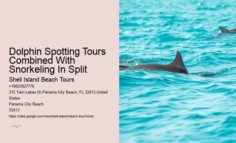 Dolphin And Snorkel Tours Panama City Beach