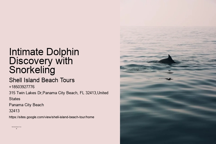 Do You Get Wet On Dolphin Tours