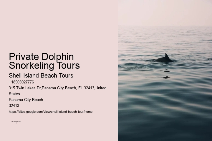 Panama City Beach Dolphin Swim Adventure