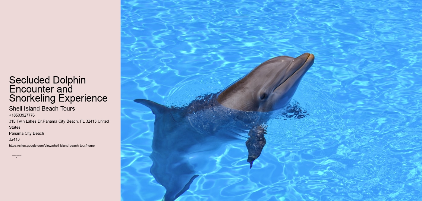 Secluded Dolphin Encounter and Snorkeling Experience