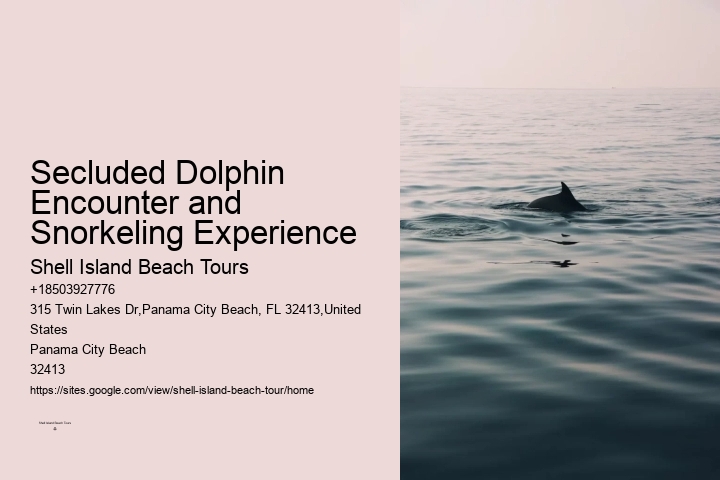 Dolphin Tours In Panama City Beach
