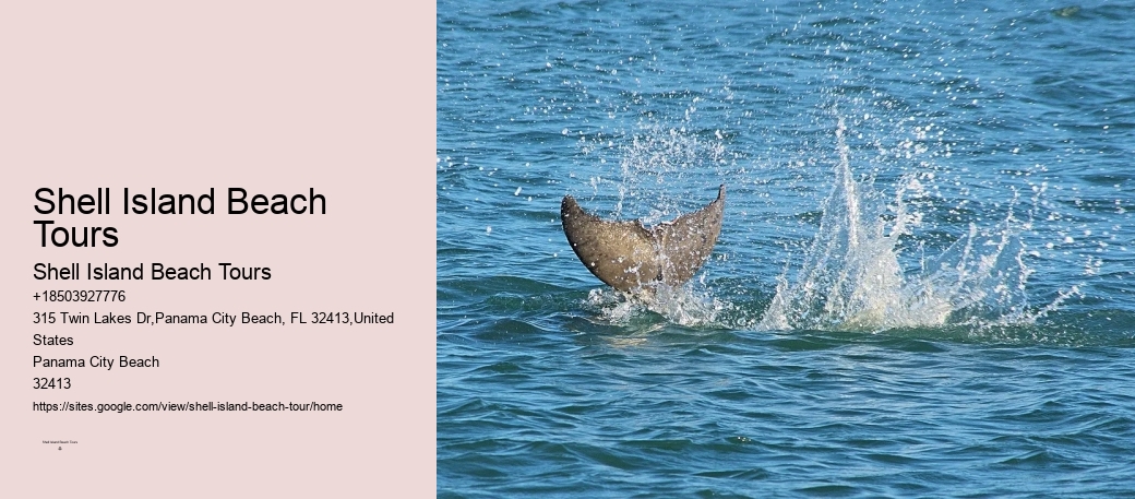 Blue Dolphin