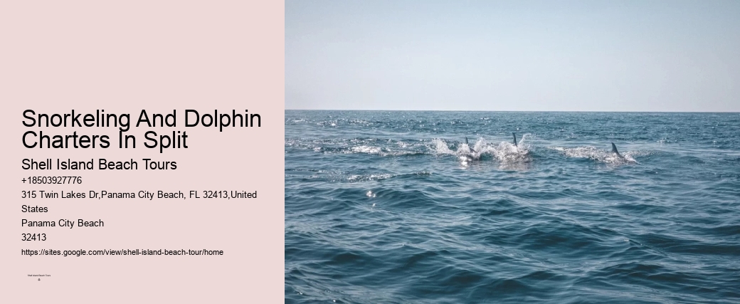 Split Customized Dolphin And Snorkeling Itineraries