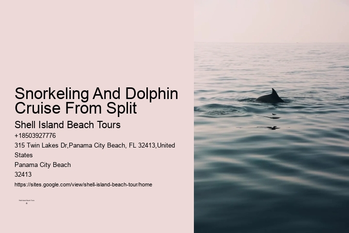Elite Dolphin Spotting and Snorkeling Tours