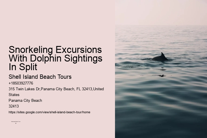 Charter Dolphin