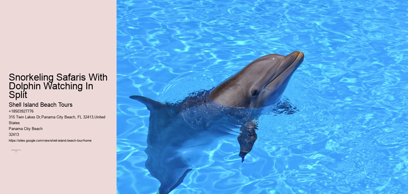Snorkeling Safaris With Dolphin Watching In Split
