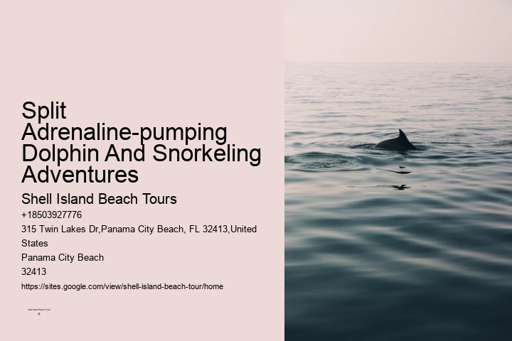 Port Aransas Dolphin Tours