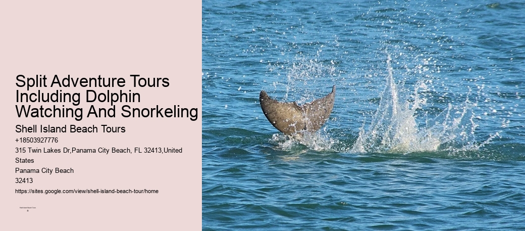 Panama City Beach Private Dolphin Tours