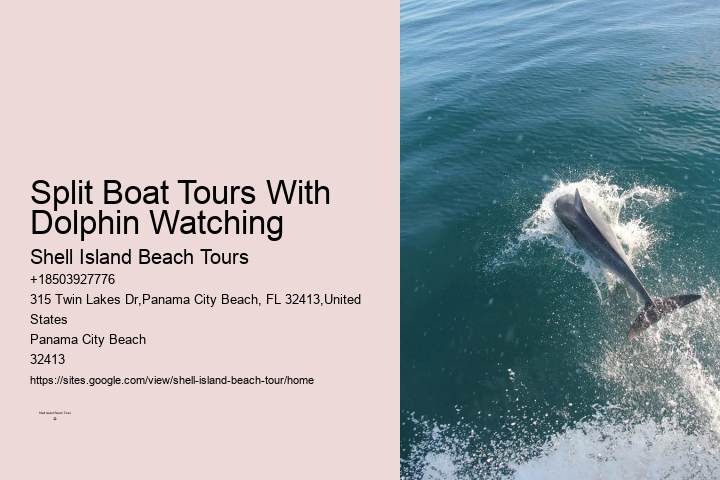 Why Do Dolphins Swim In Front Of Cruise Ships