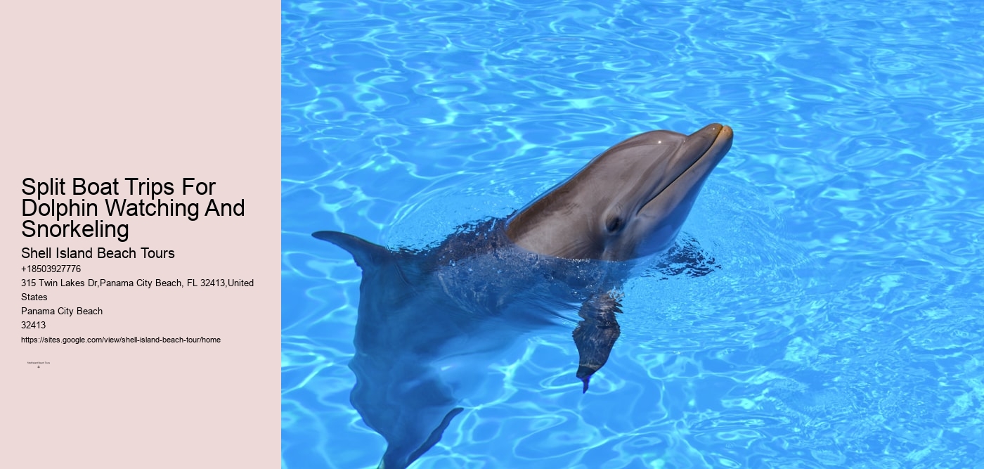 Split Boat Trips For Dolphin Watching And Snorkeling