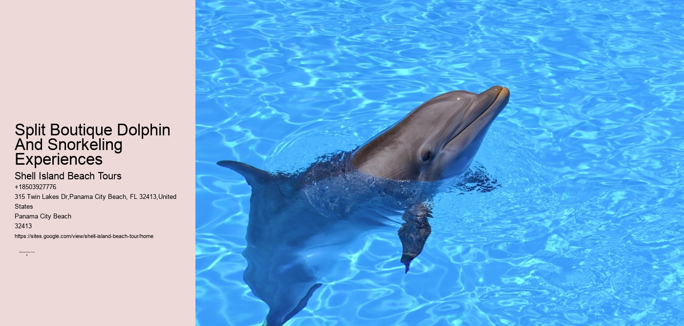 Split Boutique Dolphin And Snorkeling Experiences