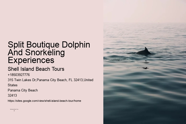 Why Not To Swim With Dolphins