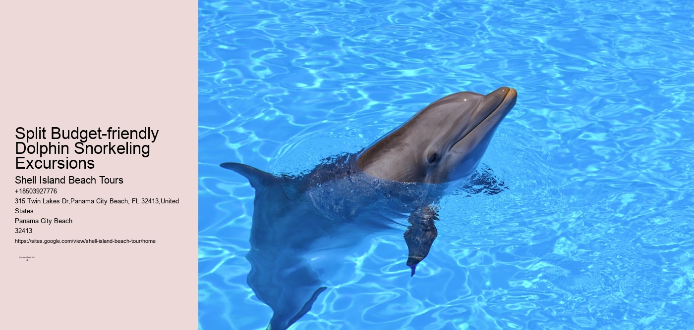 Split Budget-friendly Dolphin Snorkeling Excursions