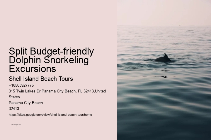 Panama City Beach dolphin spotting excursions